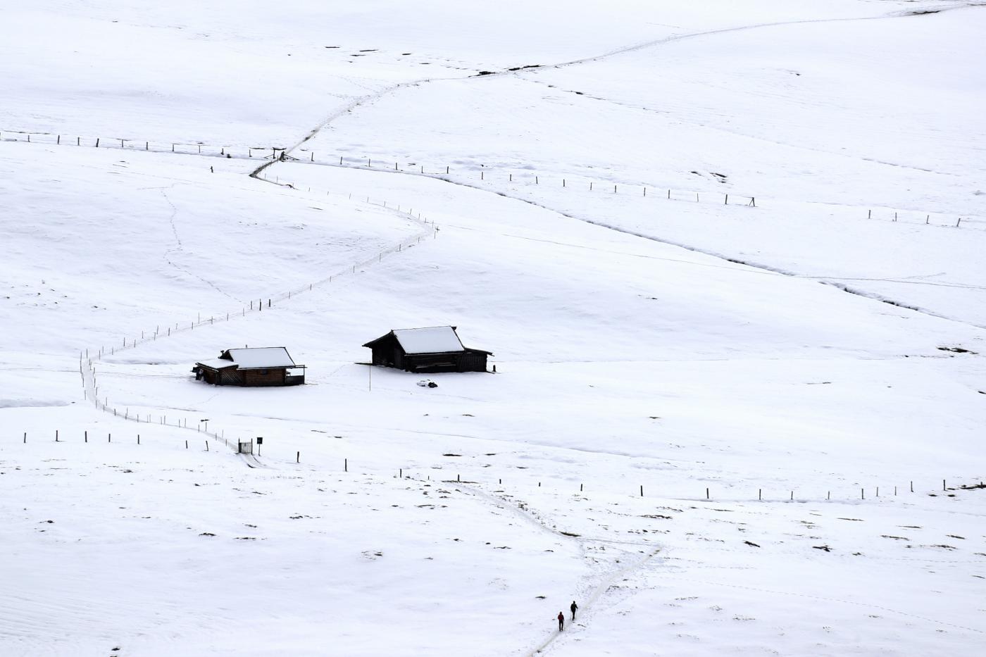 Bolzano, cade da seggiovia all’Alpe di Siusi: muore 83enne Bolzano, cade da seggiovia all’Alpe di Siusi: muore 83enne