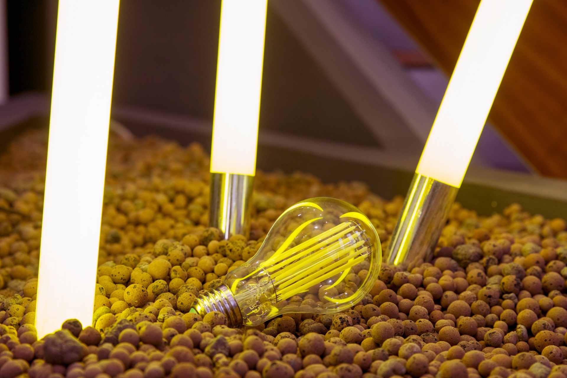 Ambiente, Banco dell’energia e Signify insieme per promuovere consumi energetici più sostenibili