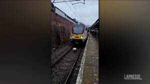 Regno Unito, cigno blocca treno pendolari a Stortford