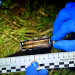 Chieti, rapinarono con tecnica militare istituto vigilanza: 6 arresti
