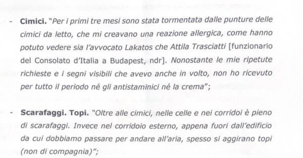 Ilaria Salis: “Tormentata dalle cimici in cella”