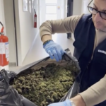 Pescara, sequestrati 4 kg di marijuana e una pistola