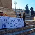Roma, blitz animalista: imbrattata fontana di piazza del Popolo