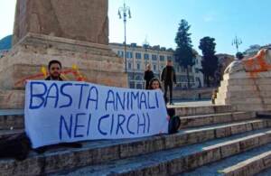 Roma, blitz animalista: imbrattata fontana di piazza del Popolo