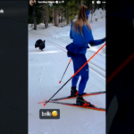 Gallo cedrone sbarra la strada alla campionessa di biathlon Dorothea Wierer