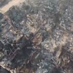 Cile, 19 morti e oltre mille case distrutte dagli incendi