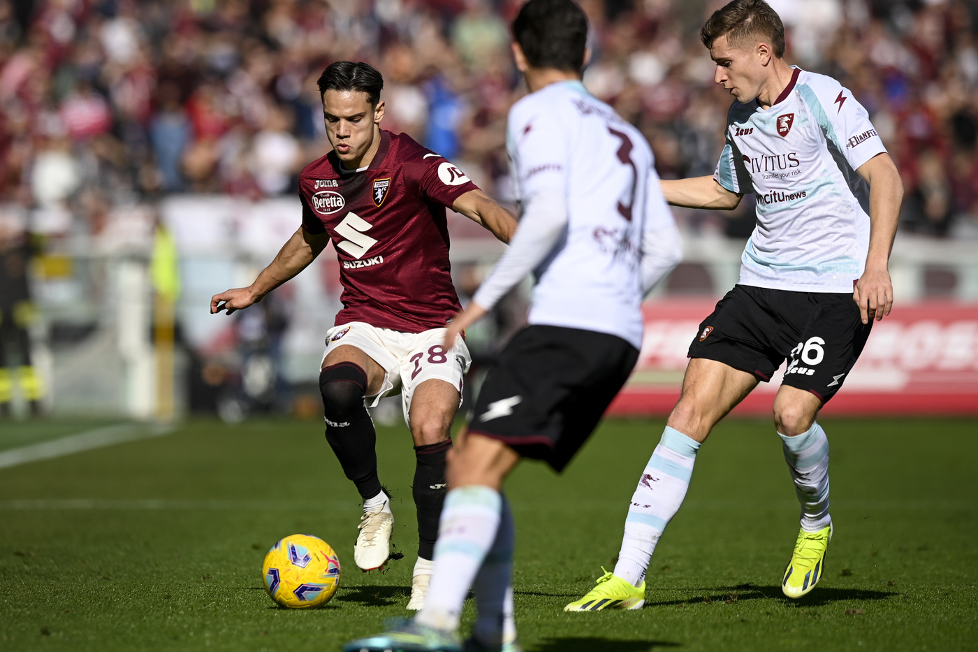 Torino-Salernitana finisce 0-0