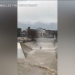 Alluvioni California, il salvataggio di un uomo dalle acque del fiume di Los Angeles