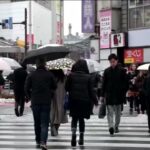 Giappone, Tokyo si è svegliata sotto la neve: traffico in tilt