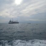 Webuild, avanzano i lavori per la Diga Foranea di Genova: realizzate oltre 1320 colonne sommerse