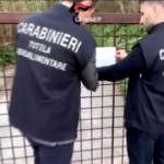 Mafia, blitz contro clan dei Nebrodi: 37 misure cautelari
