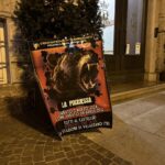 Trentino, animalisti in rivolta dopo l’abbattimento dell’orso M90