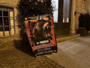 Trentino, animalisti in rivolta dopo l’abbattimento dell’orso M90