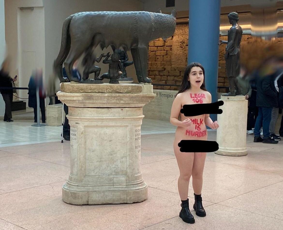 Roma, blitz di attivisti ai musei Capitolini: donna si spoglia per protesta Roma, blitz di attivisti ai musei Capitolini: donna si spoglia per protesta