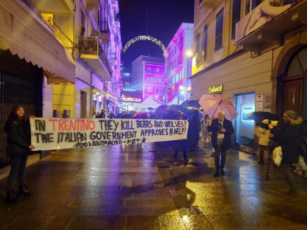 Sanremo, blitz animalisti pro orsi del Trentino vicino all’Ariston