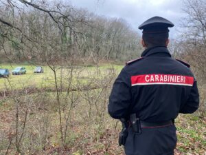 Roma, uomo sbranato e ucciso da 3 cani mentre fa jogging