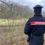 Manziana, proprietari rottweiler indagati per omicidio colposo