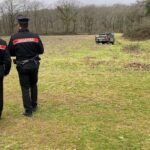 Roma, sbranato da cani a Manziana: denunciati i proprietari