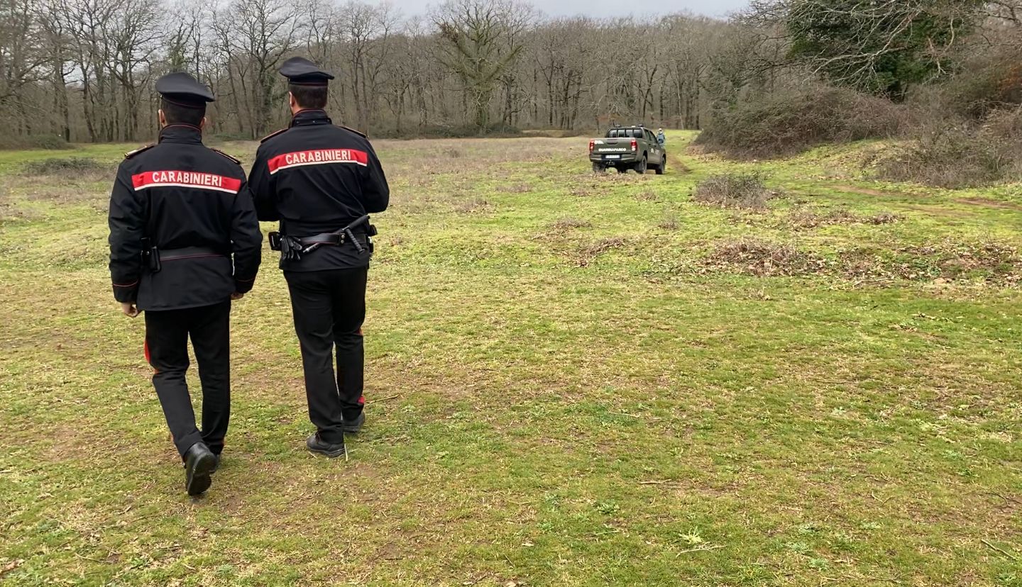 Roma, sbranato da cani a Manziana: denunciati i proprietari