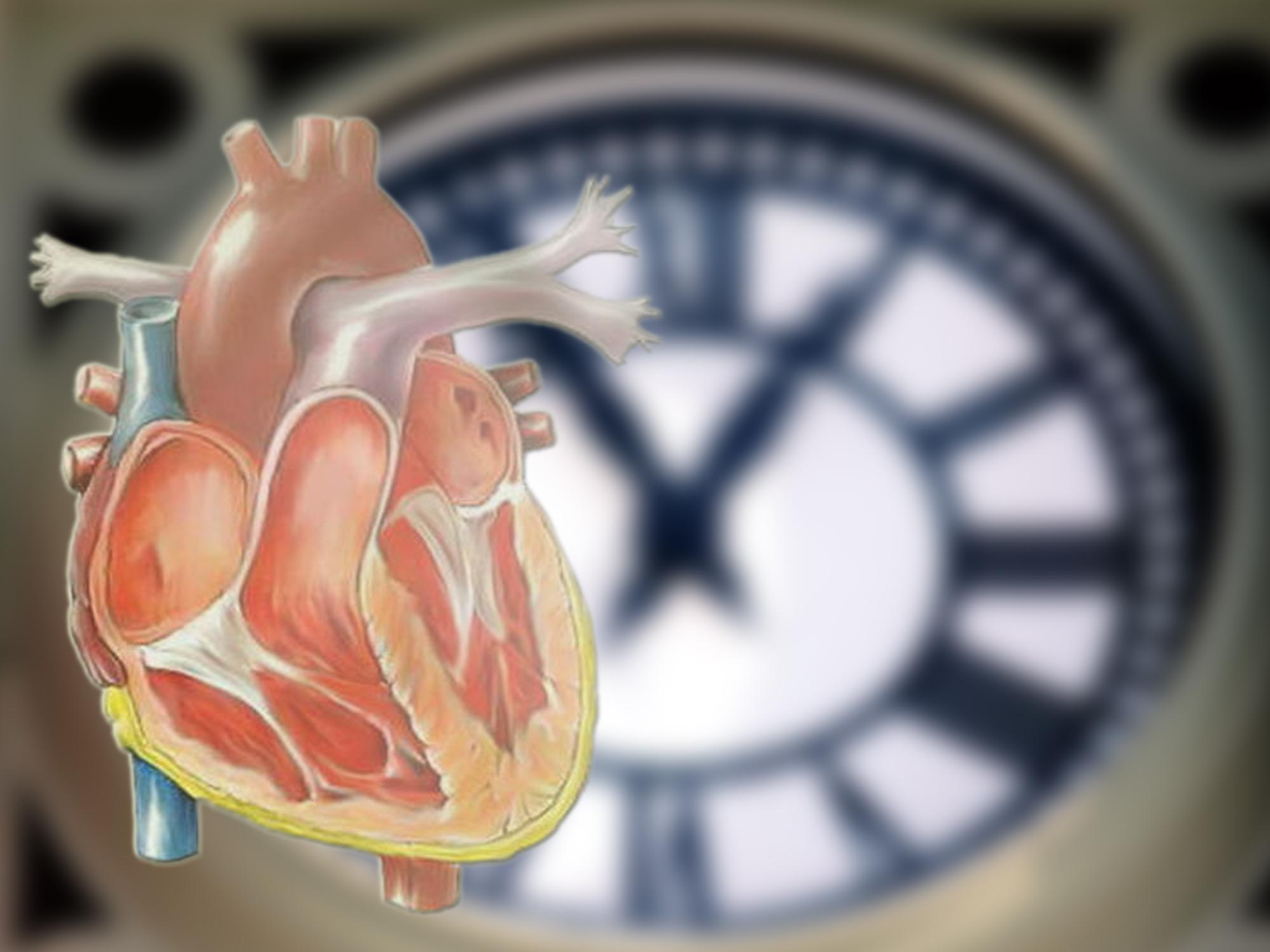 Pericardite, di cosa si tratta: sintomi, cause e diagnosi | La scheda