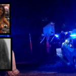 Cisterna di Latina, uccide madre e sorella della ex: finanziere 26enne in stato di fermo