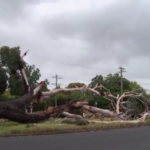 Australia, tempesta sullo Stato di Victoria: danni ingenti e una vittima