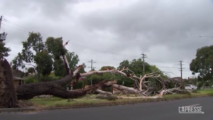 Australia, tempesta sullo Stato di Victoria: danni ingenti e una vittima