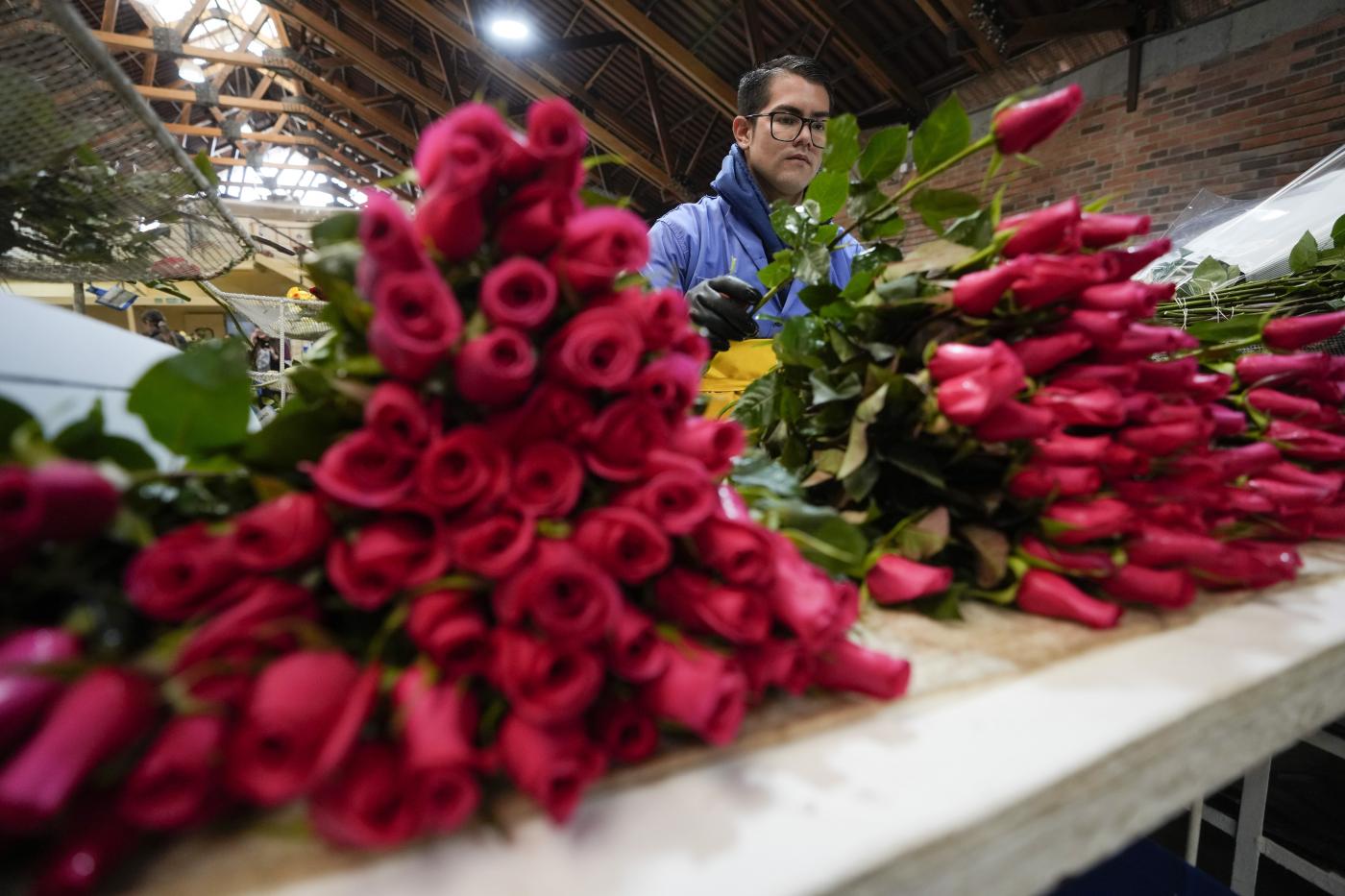 San Valentino, lo celebrano sei italiani su 10