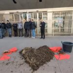 Milano, Extinction Rebellion: letame davanti alla sede della Regione