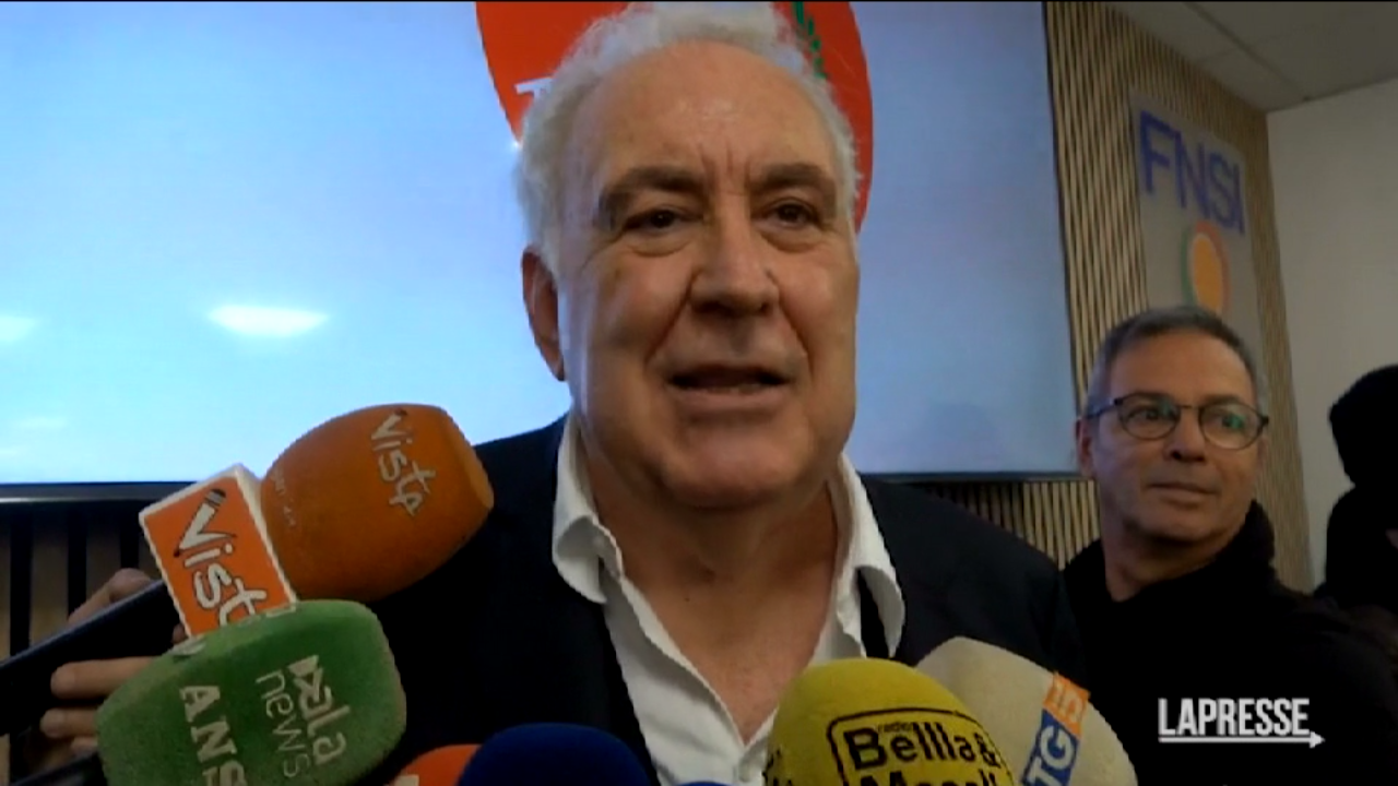 VIDEO Santoro "Ilaria Salis alle Europee? Decide lei" LaPresse