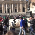 Agricoltori a San Pietro, Fais: “Uniremo la protesta con quella di Calvani”
