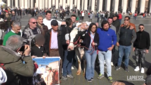 Protesta trattori, gli agricoltori dal Papa con la mucca Ercolina