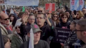 Milano, Brambilla contestata da influencer a corteo animalista