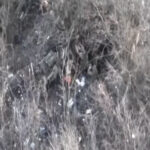 Ucraina, Kiev: “In un video russi fucilano soldati ucraini arresi”