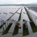 Energia, in aumento del 13% le imprese della filiera delle rinnovabili