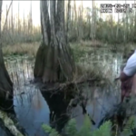 Florida, bambina di 5 anni ritrovata in una palude: il video