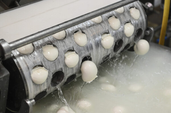 Mozzarella ritirata dal commercio per rischio microbiologico