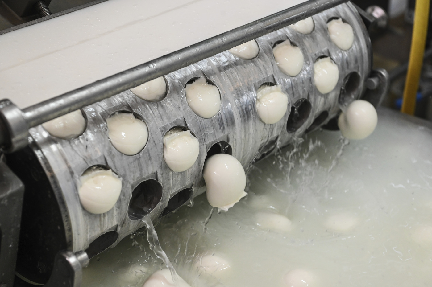 Mozzarella ritirata dal commercio per rischio microbiologico