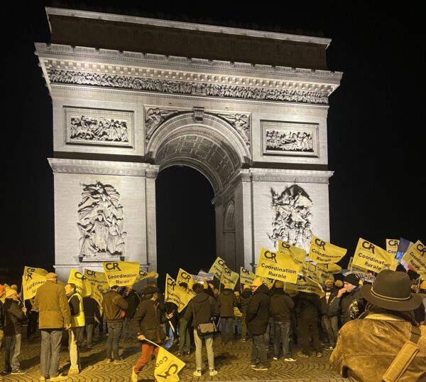 Magnete Frigorifero 3D Parigi – Arco Di Trionfo – Souvenir Da Viaggio In Resina – Regalo Decorativo