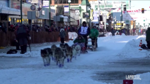 Usa, Alaska: al via la tradizionale corsa di cani da slitta