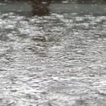 Milano nella morsa del maltempo, disagi e strade allagate