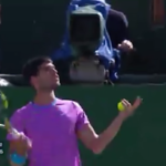 Indian Wells, l’attimo in cui Alcaraz viene circondato (e punto) dalle api