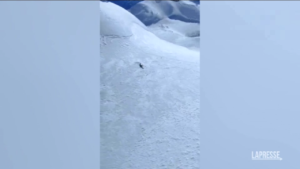 Montagna, cade elicottero del 118 sul Monte Rosa: nessuna vittima