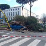 Roma, albero cade su auto: un ferito all’Eur