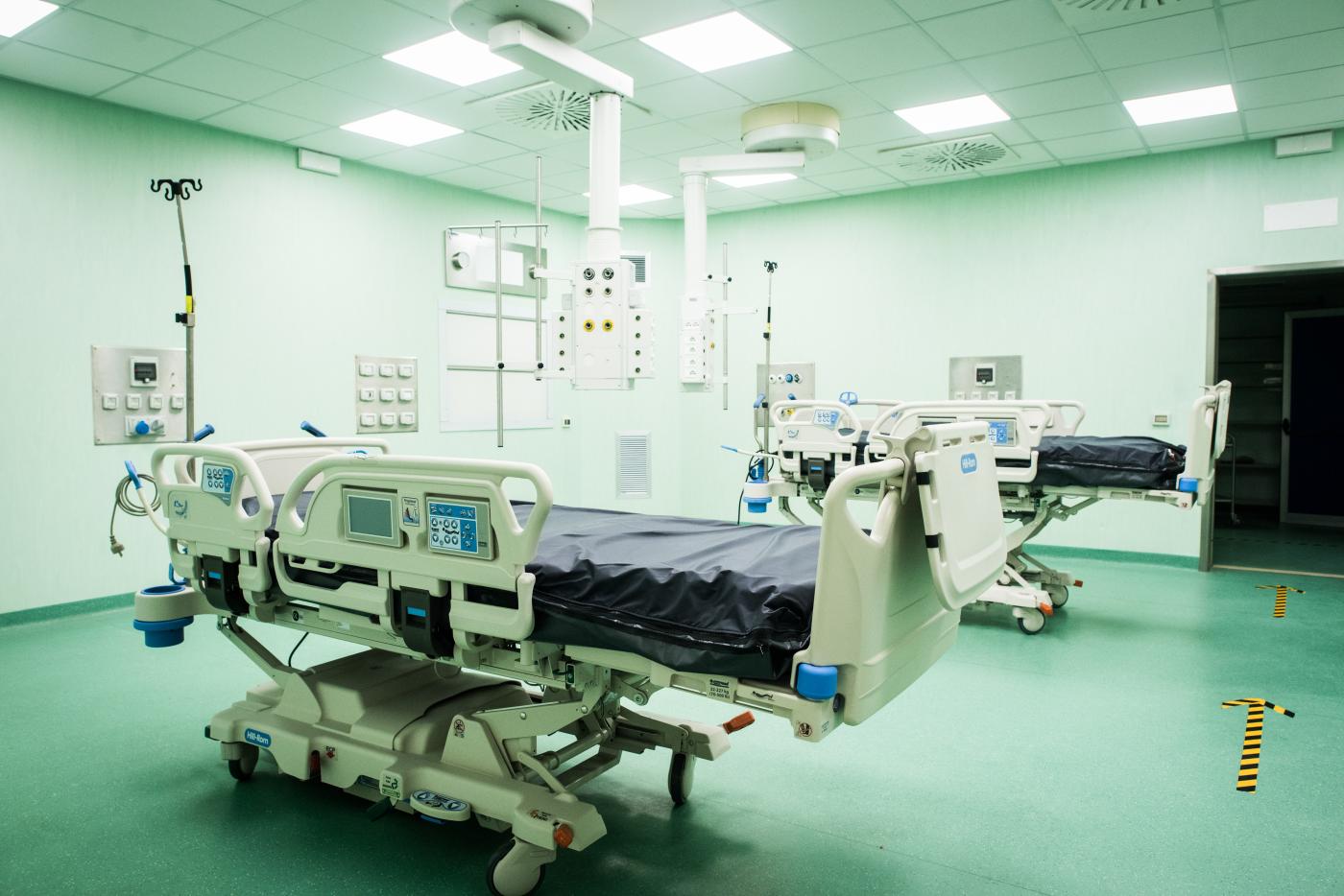 Usa, a Boston trapiantato rene di maiale a un uomo: primo nella storia Usa, a Boston trapiantato rene di maiale a un uomo: primo nella storia