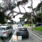 Roma, il momento in cui l’albero cade sulle auto all’Eur
