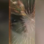 Mosca, Isis diffonde video con immagini dell’attentato alla Crocus City Hall