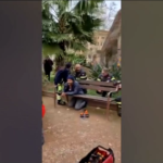 Roma, clochard rimane incastrato su panchina: liberato da Vvf e Municipale