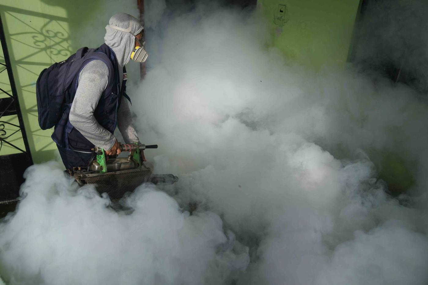 Dengue, nelle Americhe è emergenza
