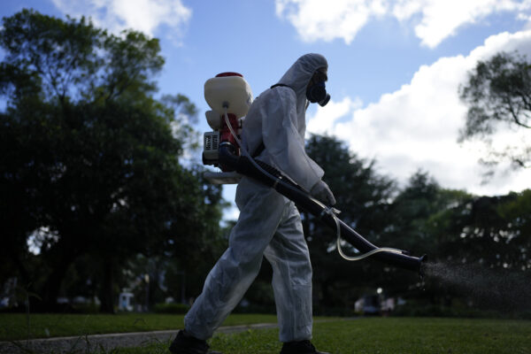 Dengue, caso positivo a Genova in paziente tornato dall’Argentina